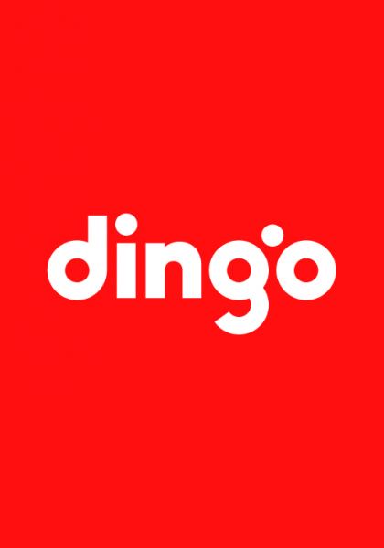 dingo 홈페이지 제작 사례