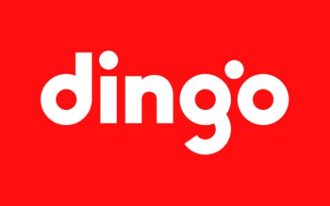 dingo 홈페이지 제작 사례