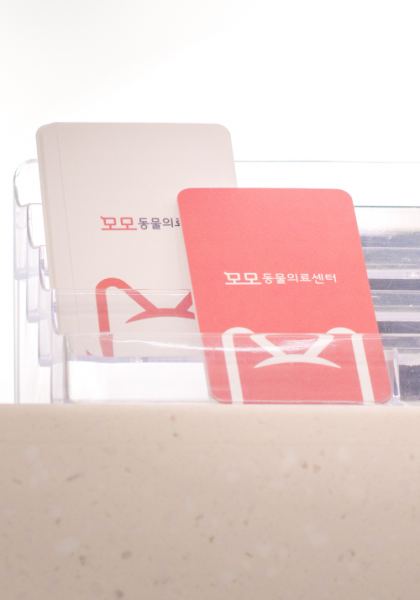 모모동물명원 홈페이지 제작 사례