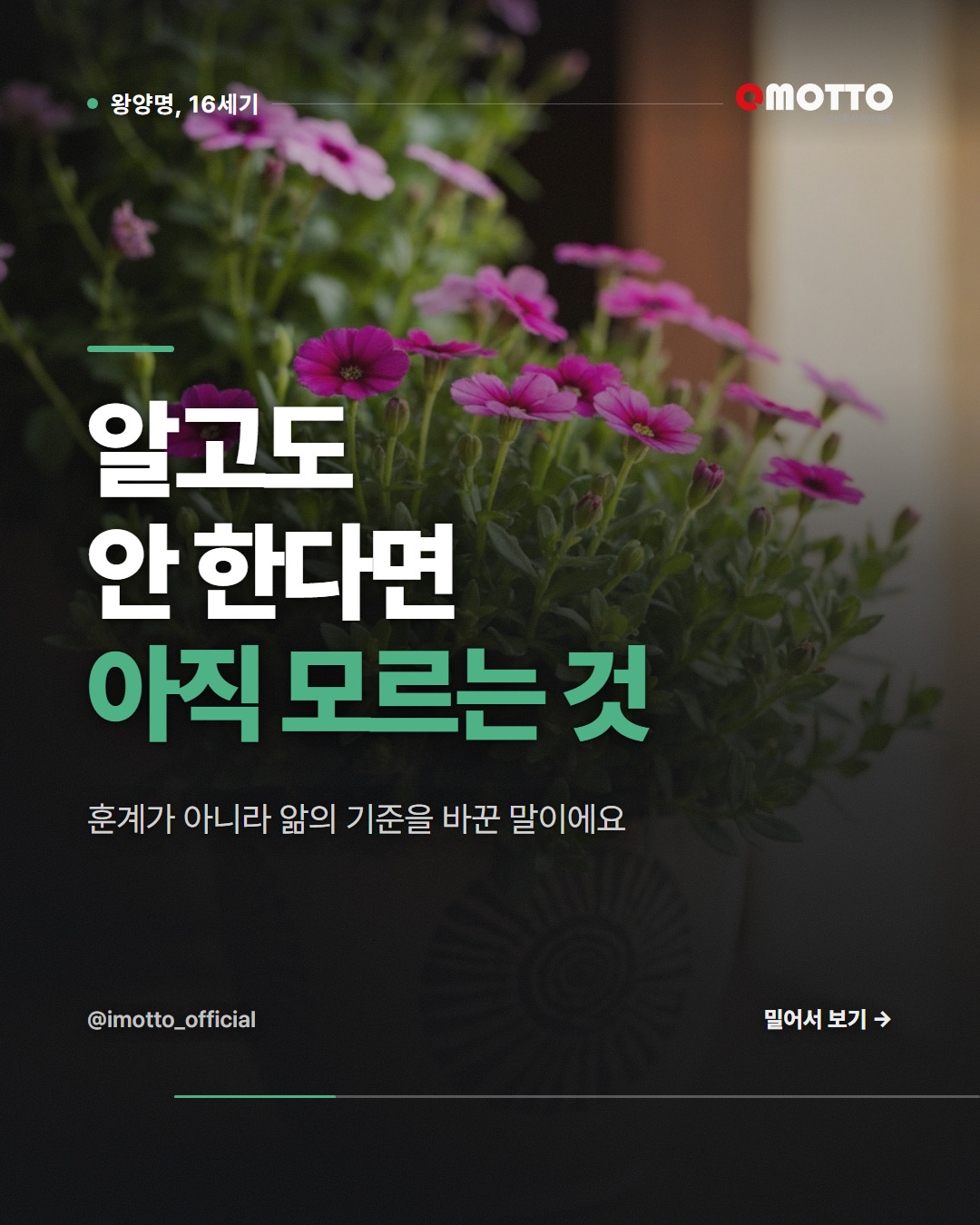 알고도 안 한다면 아직 모르는 것이다 — 지행합일